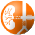 logo_ir